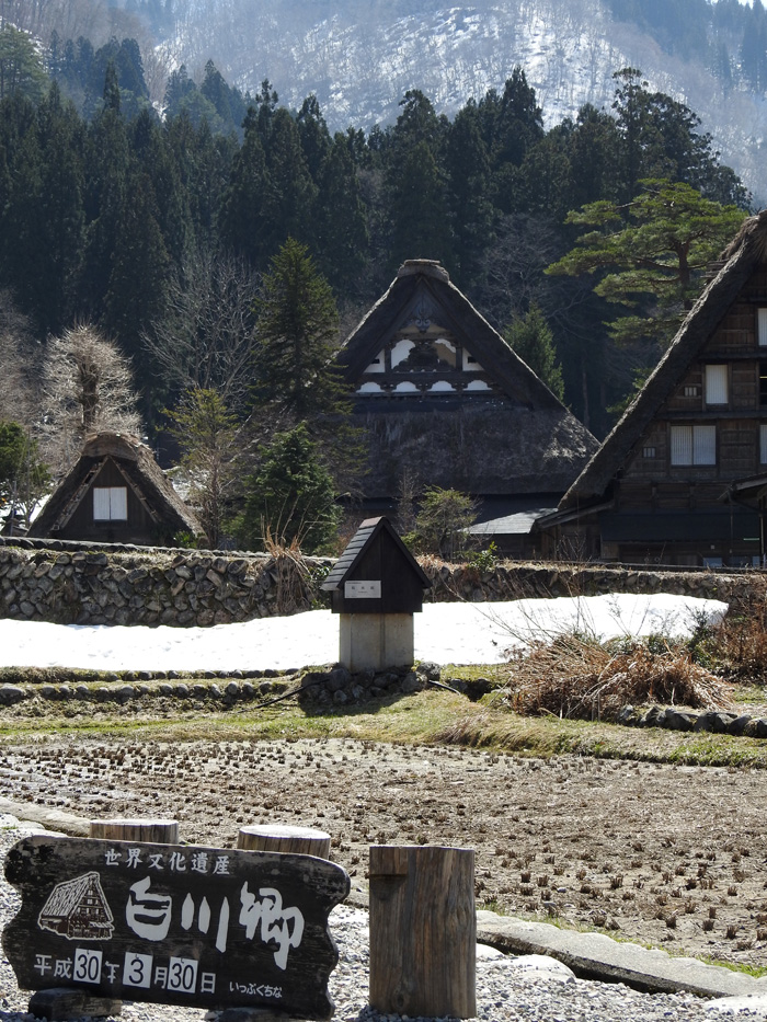 白川郷合掌造り集落 一気に春から冬へ逆戻り お宿 湯の里 公式 白川郷 大白川の湯 平瀬温泉